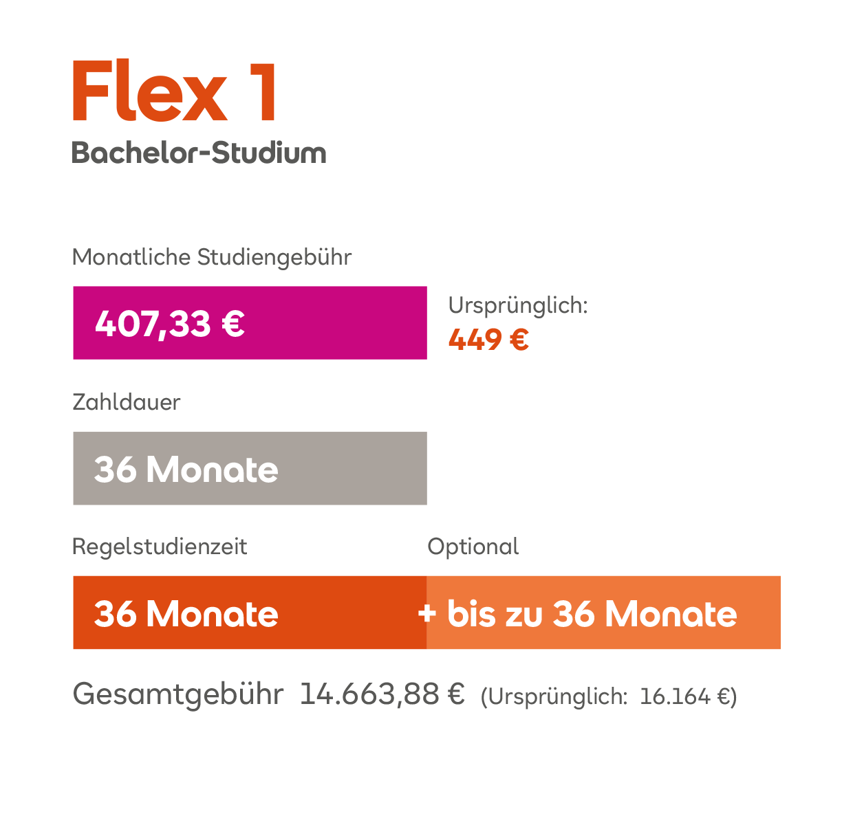 Flex 1 Bachelor