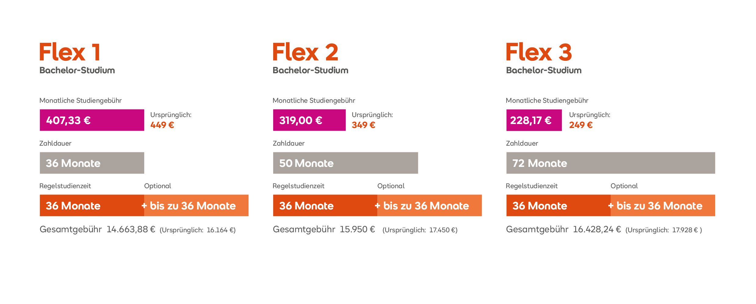 Flex Bachelor