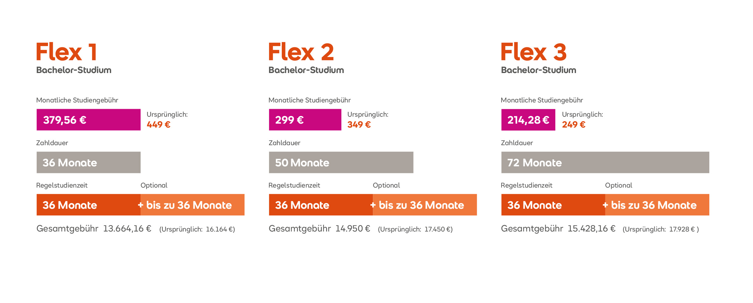 Flex Bachelor